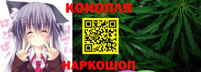 шишки Апшеронск