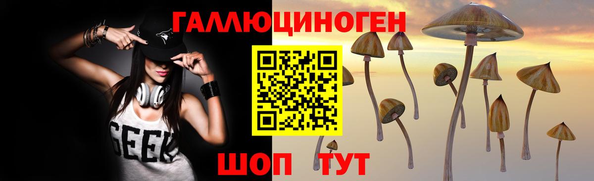 Галлюциногенные грибы GOLDEN TEACHER  Вход с VPN  Большой Камень  Псилоцибиновые грибы Psilocybine cubensis 